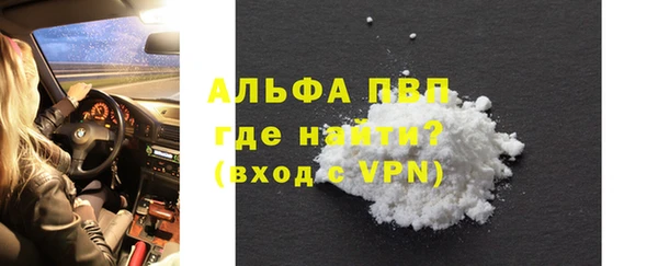 индика Алексин