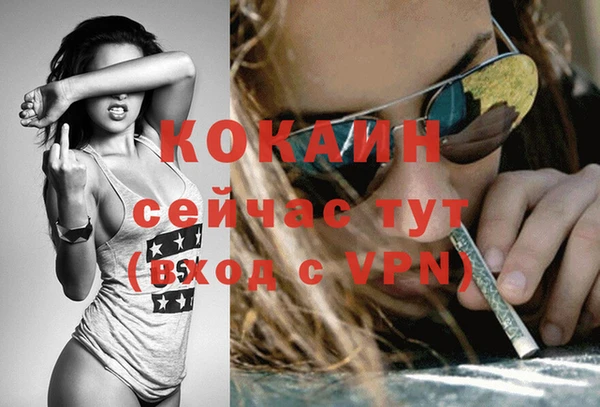индика Алексин