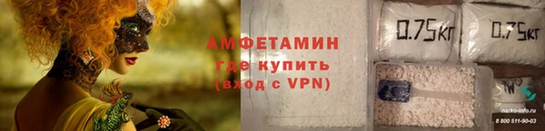 индика Алексин