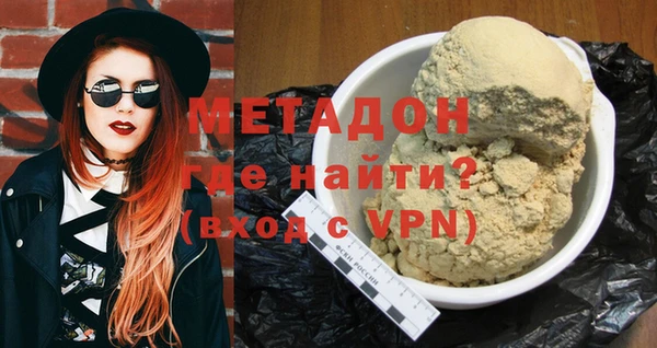 индика Алексин