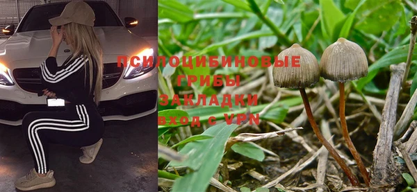 прущие крисы Алексеевка