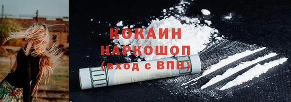 индика Алексин
