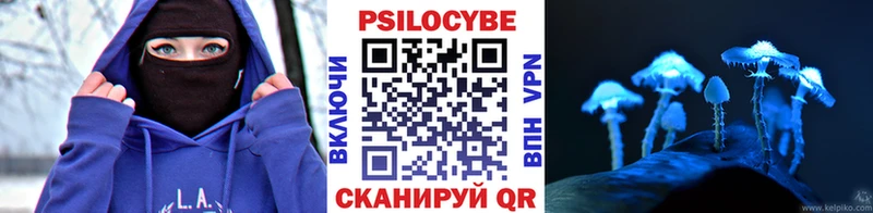 где можно купить   Кулебаки  Псилоцибиновые грибы прущие грибы 
